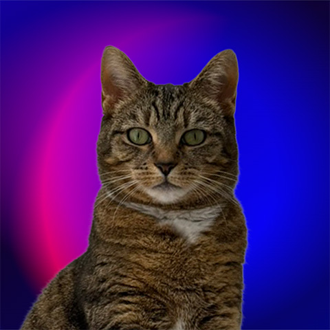 Nori's Profile Picture